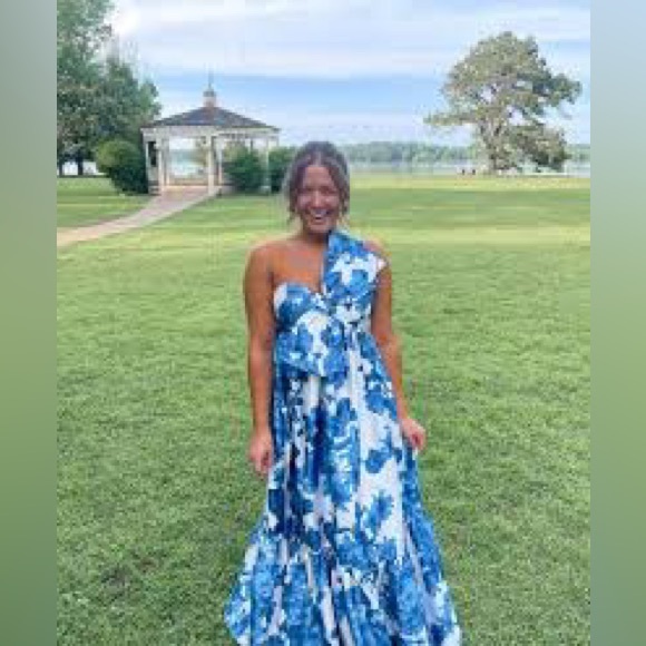 Anthropologie Atsu Sally Bow Dress - Picture 3 of 9